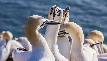 kaiyun：开启云端生活的新纪元